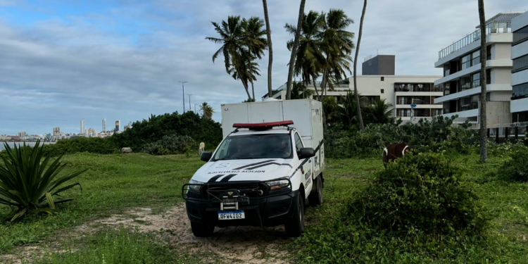 Ex-namorado de homem encontrado morto à beira-mar em João Pessoa é preso suspeito do crime