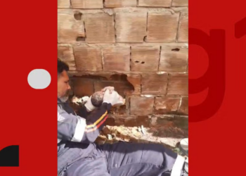 Recém-nascido abandonado morreu de hipotermia e traumatismo craniano, aponta laudo